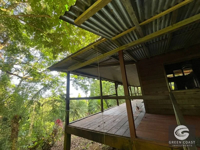 Pavones Surf Ranch: 5-Acre Jungle Estate Near World-Class Point Break — view 5, Pavones, Costa Rica