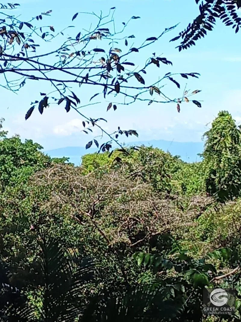 Pavones Surf Ranch: 5-Acre Jungle Estate Near World-Class Point Break — view 9, Pavones, Costa Rica