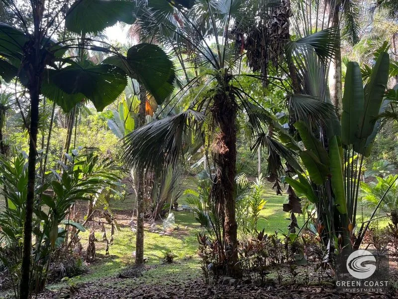 Pavones Surf Ranch: 5-Acre Jungle Estate Near World-Class Point Break — view 10, Pavones, Costa Rica