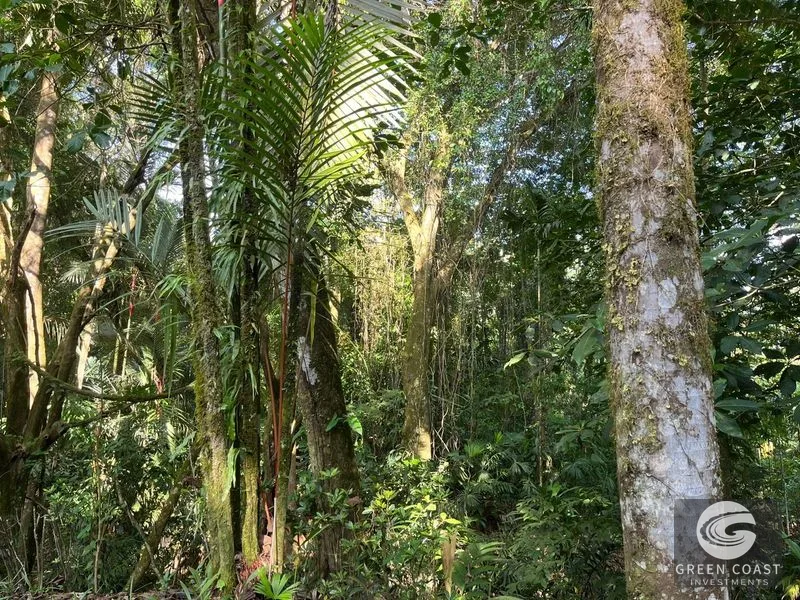 Pavones Surf Ranch: 5-Acre Jungle Estate Near World-Class Point Break — view 13, Pavones, Costa Rica