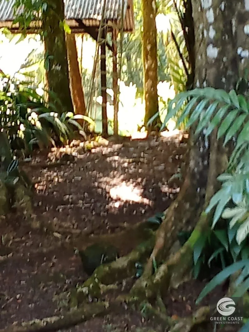 Pavones Surf Ranch: 5-Acre Jungle Estate Near World-Class Point Break — view 14, Pavones, Costa Rica