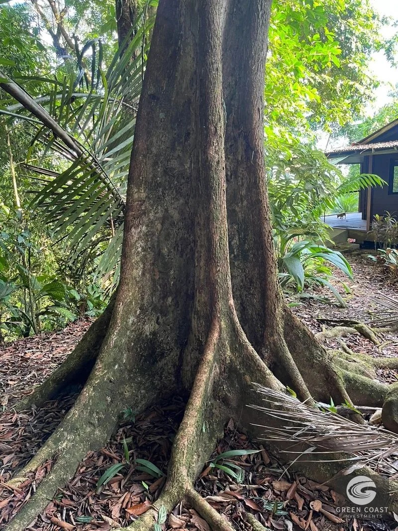 Pavones Surf Ranch: 5-Acre Jungle Estate Near World-Class Point Break — view 16, Pavones, Costa Rica