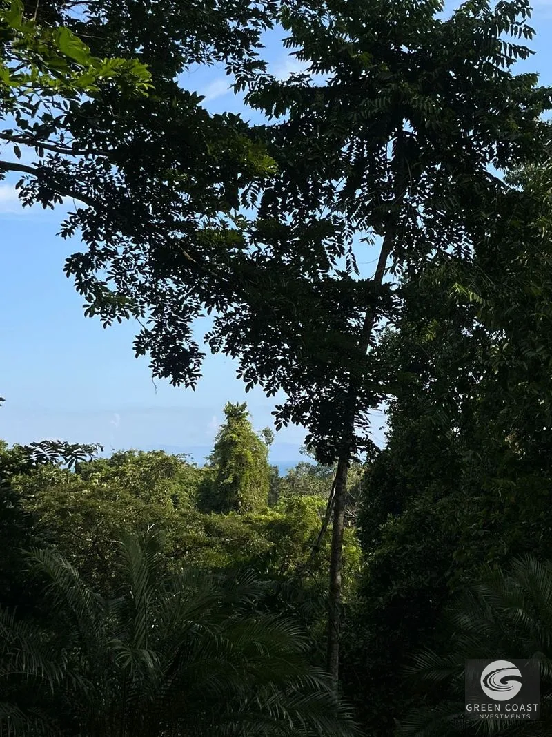 Pavones Surf Ranch: 5-Acre Jungle Estate Near World-Class Point Break — view 17, Pavones, Costa Rica