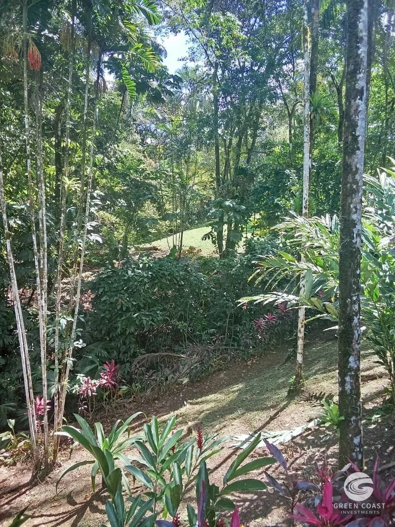 Pavones Surf Ranch: 5-Acre Jungle Estate Near World-Class Point Break — view 19, Pavones, Costa Rica