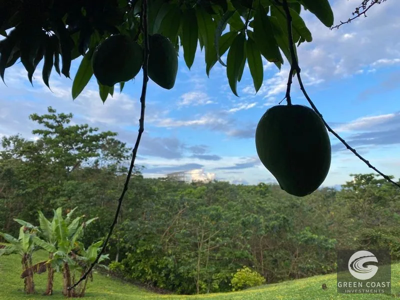 Affordable Pavones Ocean-View Home: Custom-Built Privacy on Over an Acre in Cuervito — view 9, Pavones, Costa Rica