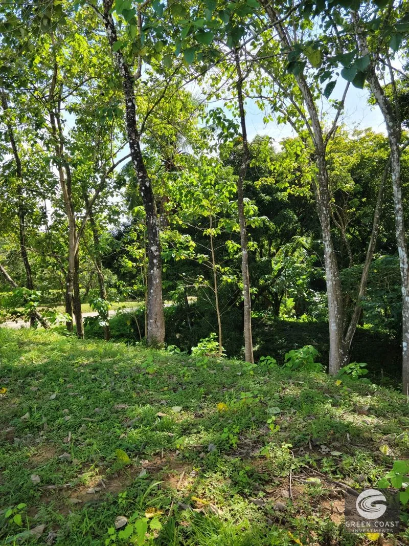 Prime Pavones Commercial & Residential Lot with High-Visibility Road Frontage — view 1, Pavones, Costa Rica