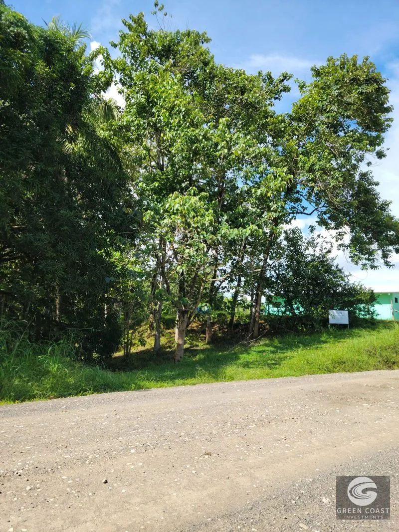 Prime Pavones Commercial & Residential Lot with High-Visibility Road Frontage — view 2, Pavones, Costa Rica