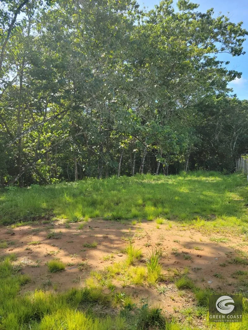 Prime Pavones Commercial & Residential Lot with High-Visibility Road Frontage — view 3, Pavones, Costa Rica