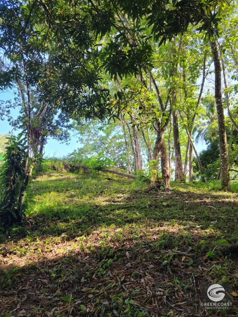 Prime Pavones Commercial & Residential Lot with High-Visibility Road Frontage — view 5, Pavones, Costa Rica