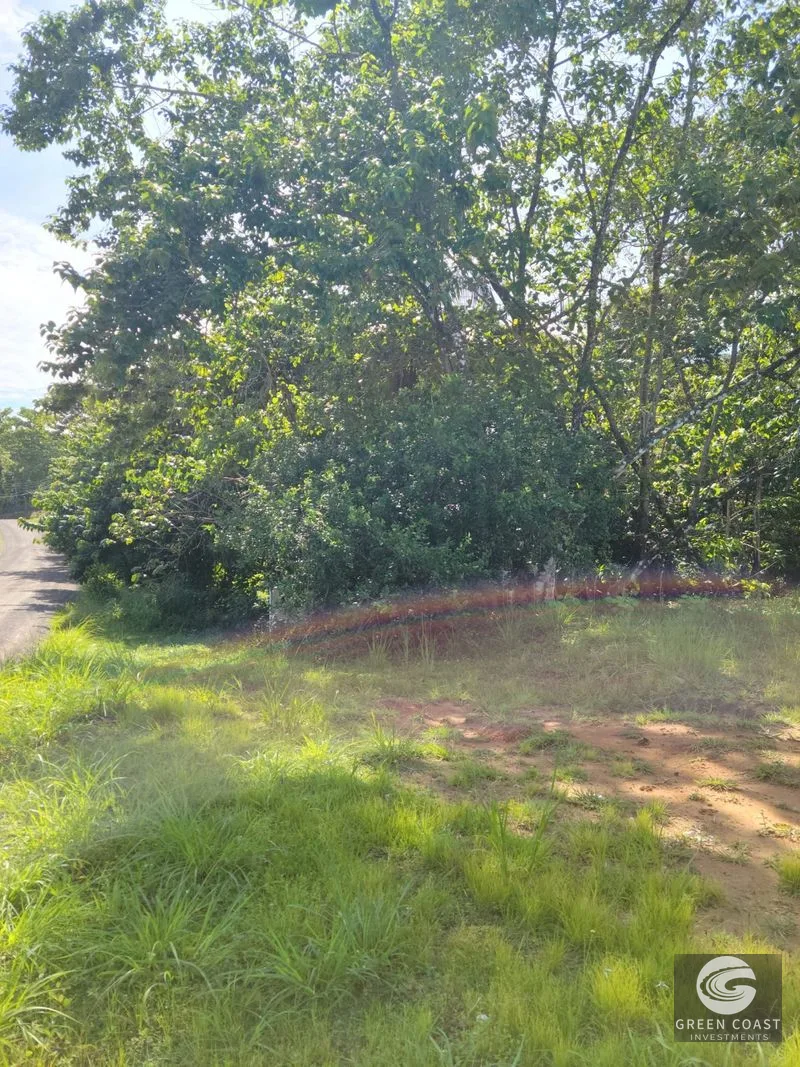 Prime Pavones Commercial & Residential Lot with High-Visibility Road Frontage — view 6, Pavones, Costa Rica