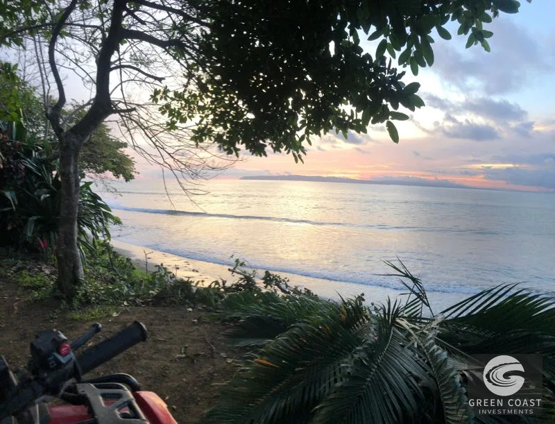 Flat 1,500m² Surf-Side Lot in Pavones – Private, Tree-Lined & Steps to the Beach — view 3, San José, Costa Rica