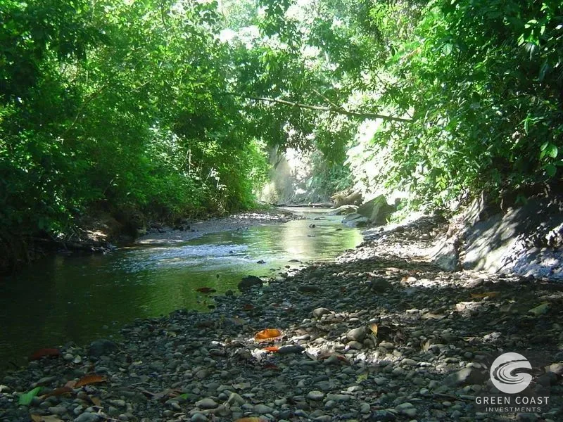 Pavones Coastal Acreage: Massive Private Estate Near World-Class Surf — view 12, Pavones, Costa Rica
