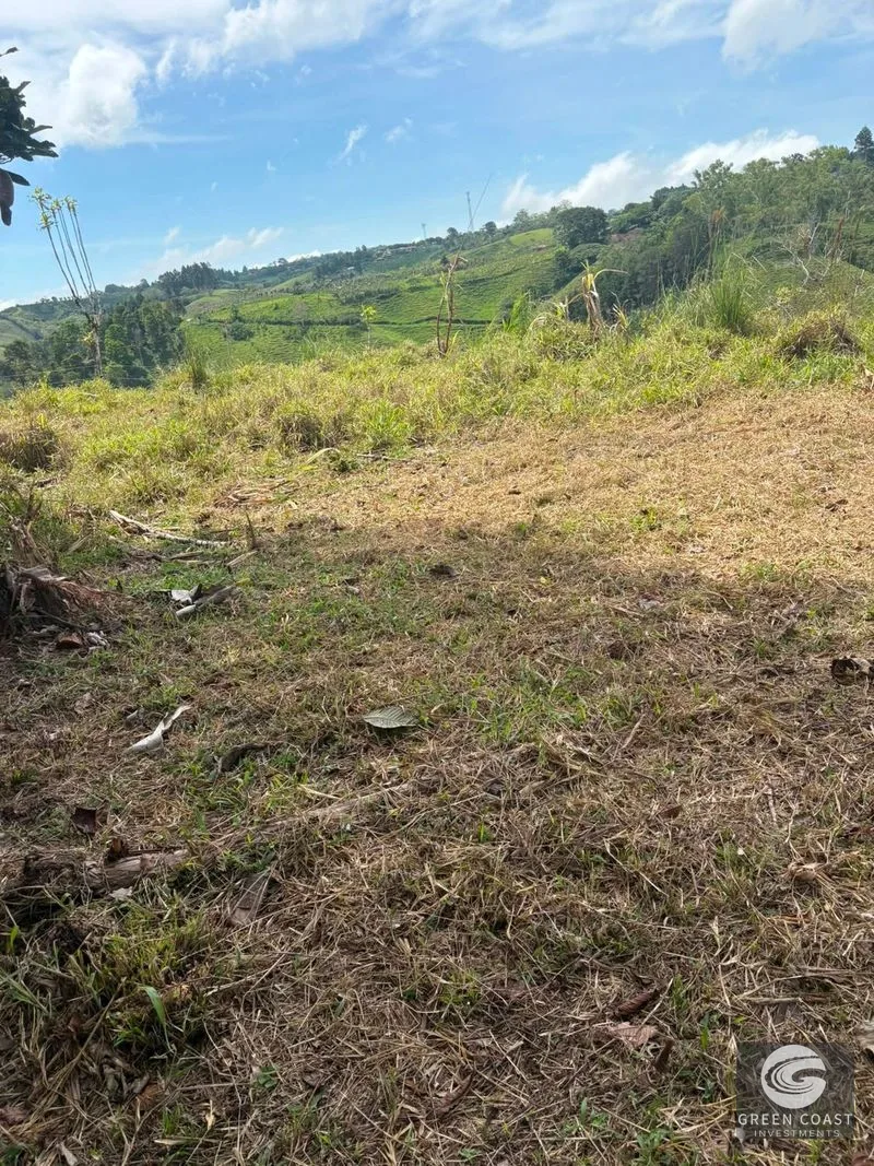 San Vito Mountain Acre: Panoramic Views & Complete Privacy Near Town — view 3, Pavones, Costa Rica