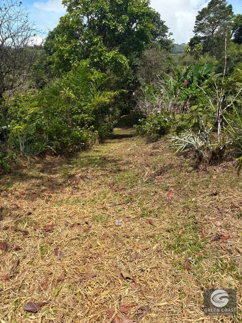 San Vito Mountain Acre: Panoramic Views & Complete Privacy Near Town — view 5, Pavones, Costa Rica
