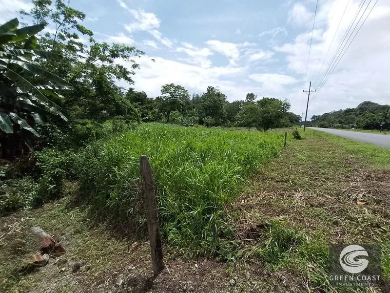 Affordable Commercial or Residential Lot Near Agujas Beach & Puerto Jimenez — view 2, Pavones, Costa Rica