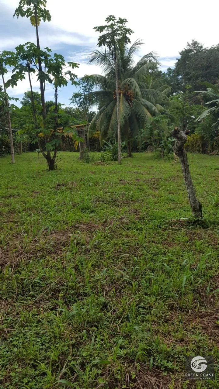 Build-Ready Beachside Lot Between Pavones & Pilon | Titled Land Steps to the Coast — view 1, Pavones, Costa Rica