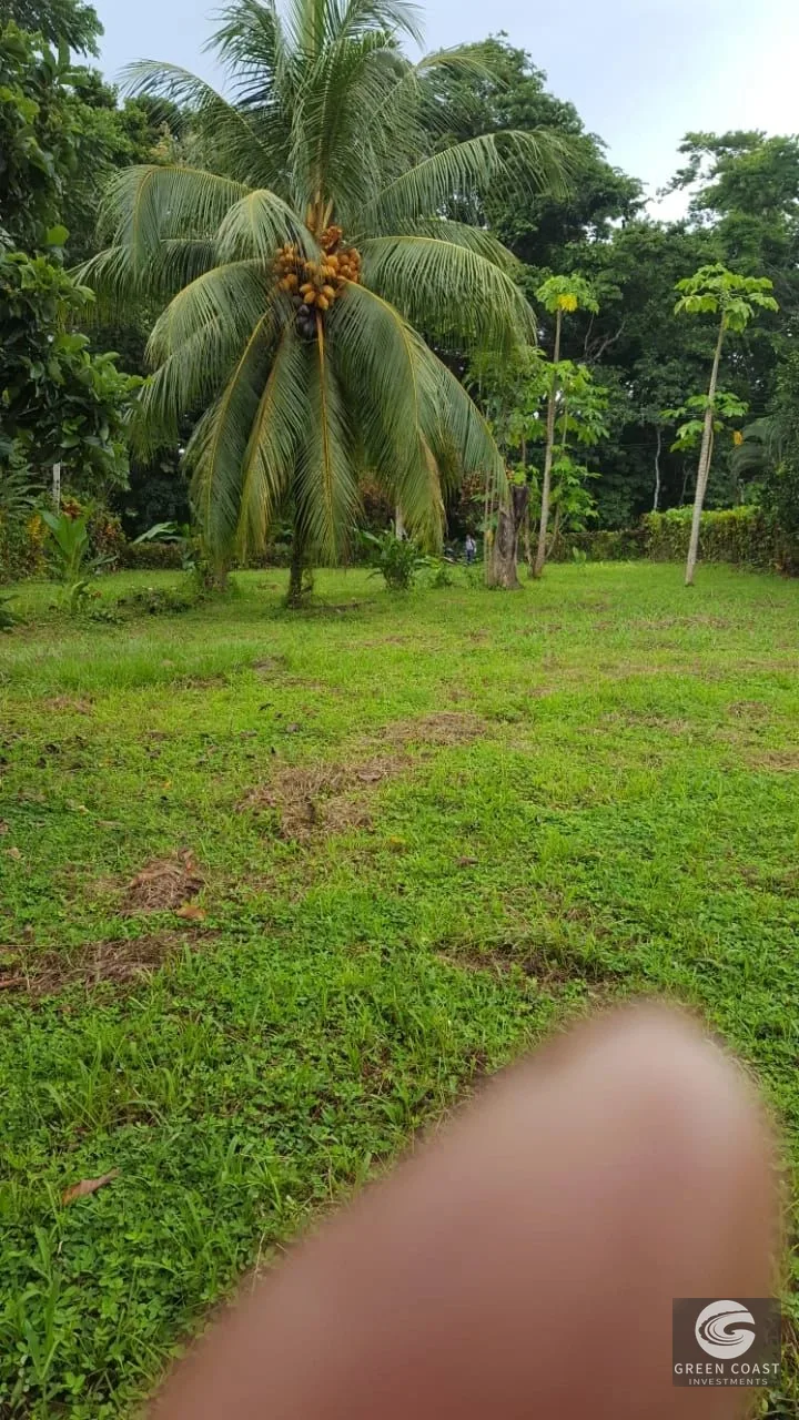 Build-Ready Beachside Lot Between Pavones & Pilon | Titled Land Steps to the Coast — view 3, Pavones, Costa Rica