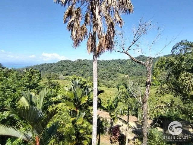 Ocean-View Pavones Estate: 4-Hectare Rolling Hills Property Near the Beach — view 7, Pavones, Costa Rica