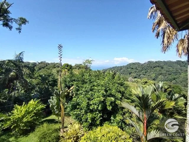 Ocean-View Pavones Estate: 4-Hectare Rolling Hills Property Near the Beach — view 9, Pavones, Costa Rica