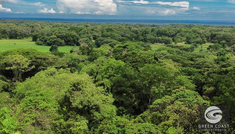 6.6-Acre Luxury Ocean View Development Site in Gated Playa Hermosa Community — view 4, Jacó, Costa Rica
