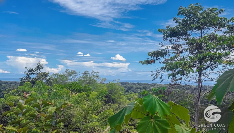 6.6-Acre Luxury Ocean View Development Site in Gated Playa Hermosa Community — view 11, Jacó, Costa Rica