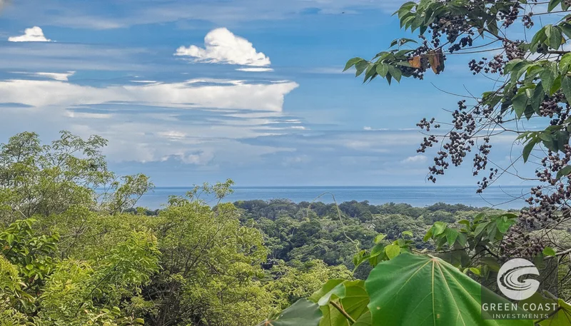 6.6-Acre Luxury Ocean View Development Site in Gated Playa Hermosa Community — view 12, Jacó, Costa Rica