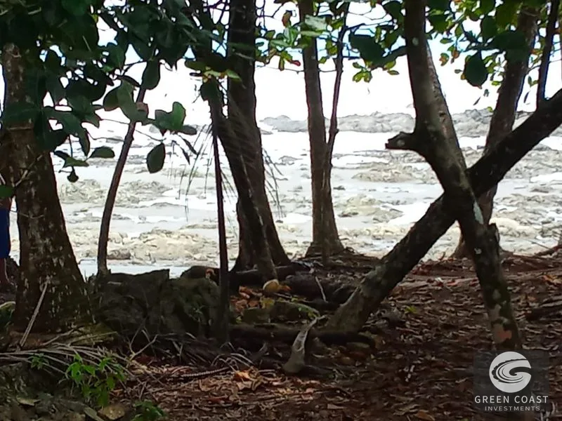 Pavones Beach Lot with Fixer-Upper: Prime Rental Potential & Steps to the Surf — view 2, Pavones, Costa Rica