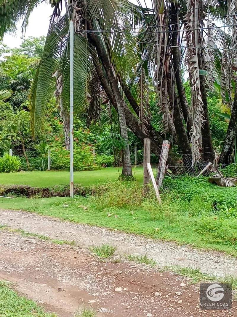Pavones Beach Lot with Fixer-Upper: Prime Rental Potential & Steps to the Surf — view 4, Pavones, Costa Rica