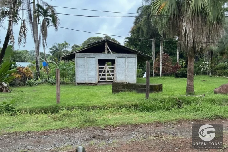 Pavones Beach Lot with Fixer-Upper: Prime Rental Potential & Steps to the Surf — view 9, Pavones, Costa Rica