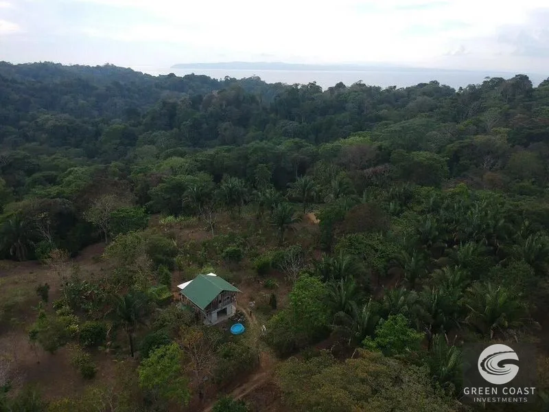 Pavones 6-Acre Estate: 4 Subdivided Lots with Country House & Fruit Orchards Near Surf — view 7, Pavones, Costa Rica