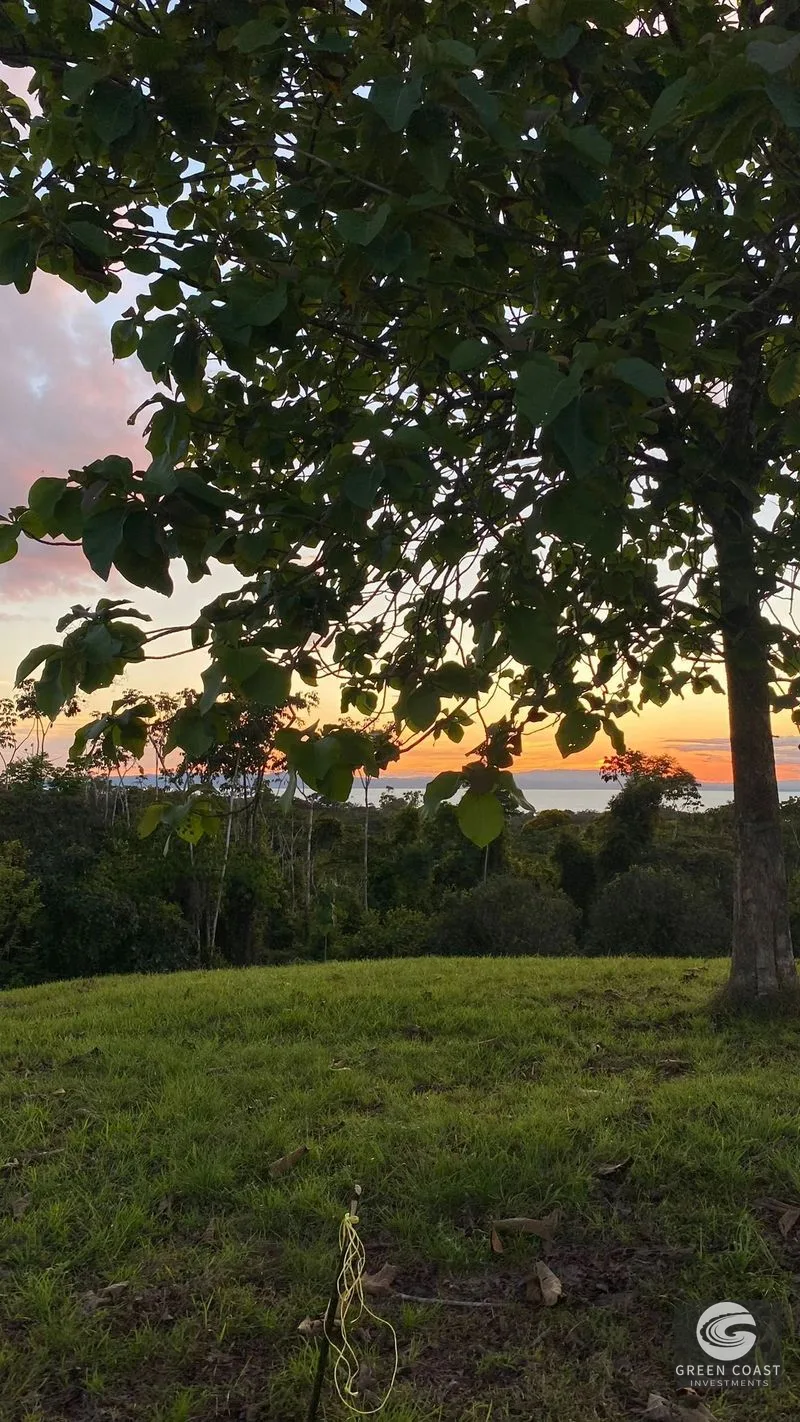 Private Ocean-View Jungle Lots Near Pilon Surf – Pavones Costa Rica — view 1, Pavones, Costa Rica