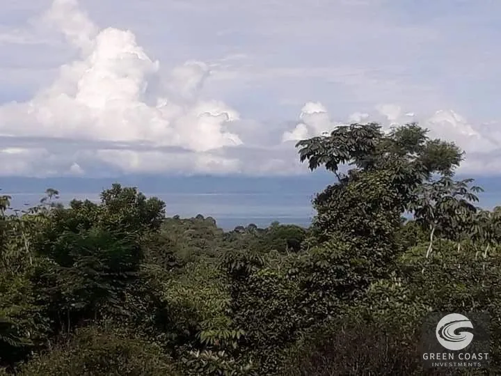 Private Ocean-View Jungle Lots Near Pilon Surf – Pavones Costa Rica — view 5, Pavones, Costa Rica