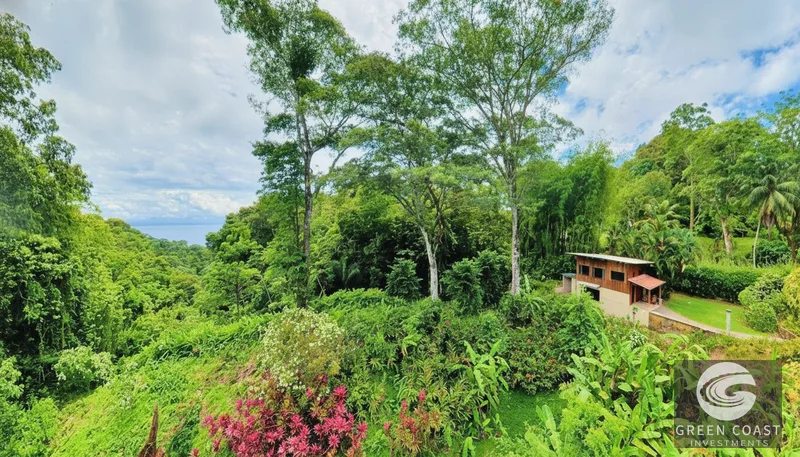Pavones Jungle Oasis: Titled 2BR Furnished Home Near World-Class Surf — view 2, Pavones, Golfito, Costa Rica