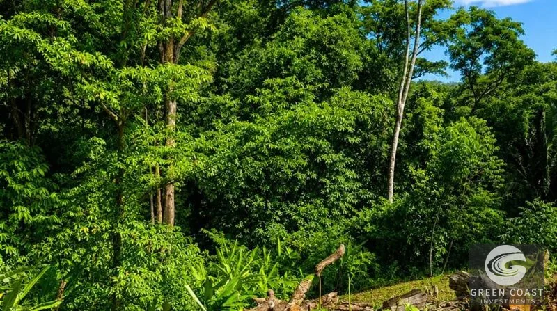 Pavones Ocean-View Luxury Homesite: 1.68 Acres Near World-Class Surf in Golfo Dulce — view 1, Pavones, Golfito, Costa Rica