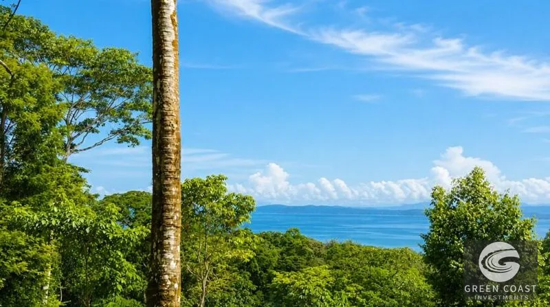 Pavones Ocean-View Luxury Homesite: 1.68 Acres Near World-Class Surf in Golfo Dulce — view 2, Pavones, Golfito, Costa Rica