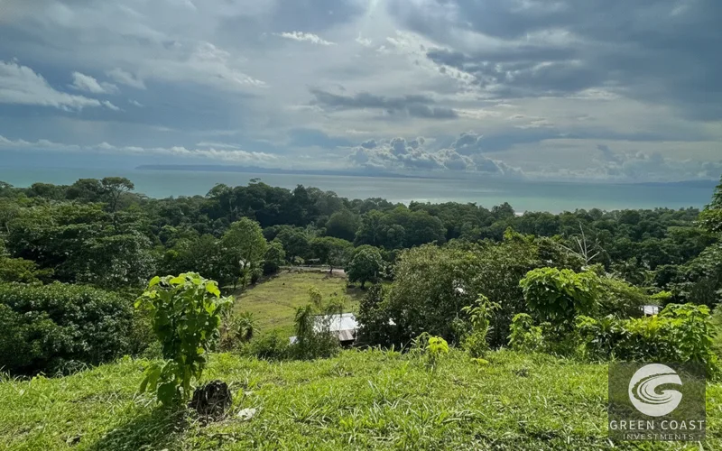 Pavones Ocean-View Luxury Homesite: 1.68 Acres Near World-Class Surf in Golfo Dulce — view 6, Pavones, Golfito, Costa Rica