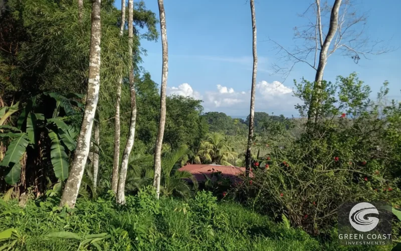 Pavones Ocean-View Luxury Homesite: 1.68 Acres Near World-Class Surf in Golfo Dulce — view 7, Pavones, Golfito, Costa Rica