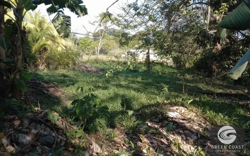 Pavones Ocean-View Luxury Homesite: 1.68 Acres Near World-Class Surf in Golfo Dulce — view 8, Pavones, Golfito, Costa Rica