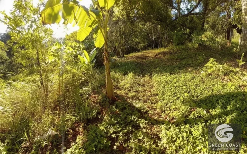Pavones Ocean-View Luxury Homesite: 1.68 Acres Near World-Class Surf in Golfo Dulce — view 9, Pavones, Golfito, Costa Rica