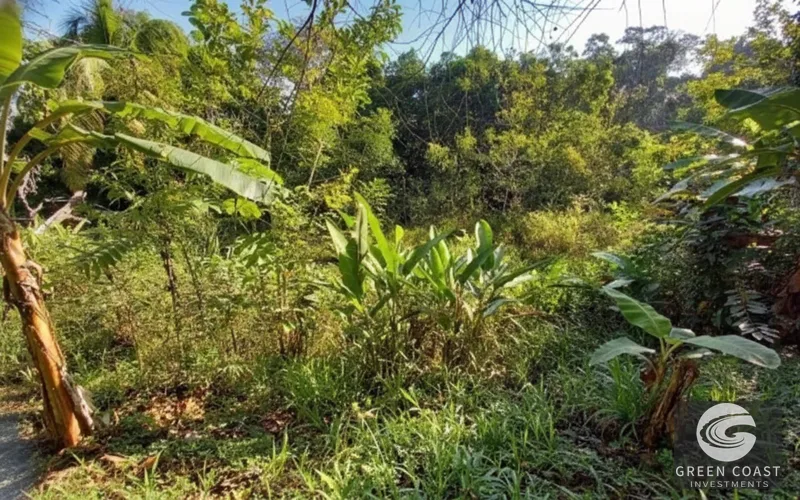 Pavones Ocean-View Luxury Homesite: 1.68 Acres Near World-Class Surf in Golfo Dulce — view 10, Pavones, Golfito, Costa Rica