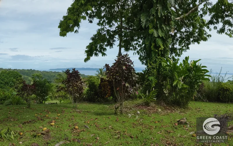 Pavones Ocean-View Luxury Homesite: 1.68 Acres Near World-Class Surf in Golfo Dulce — view 15, Pavones, Golfito, Costa Rica