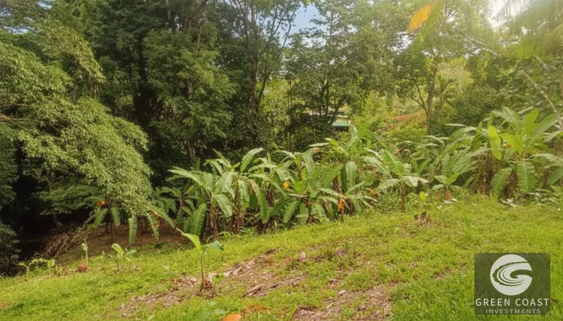 Affordable 900m² Jungle Lot in Pavones | Build Your Tropical Retreat — view 1, Pavones, Golfito, Costa Rica