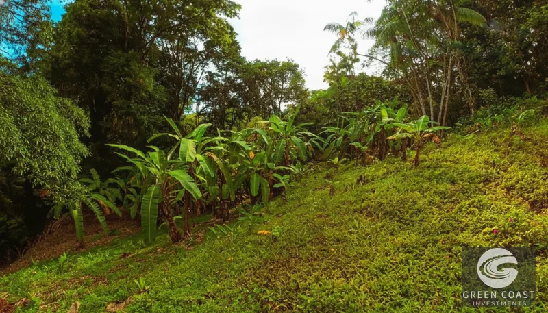 Affordable 900m² Jungle Lot in Pavones | Build Your Tropical Retreat — view 2, Pavones, Golfito, Costa Rica