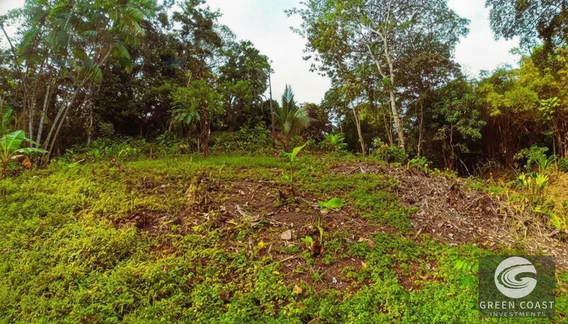 Affordable 900m² Jungle Lot in Pavones | Build Your Tropical Retreat — view 3, Pavones, Golfito, Costa Rica