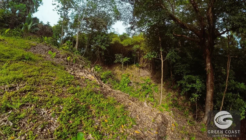 Affordable 900m² Jungle Lot in Pavones | Build Your Tropical Retreat — view 4, Pavones, Golfito, Costa Rica