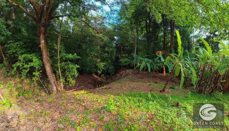 Affordable 900m² Jungle Lot in Pavones | Build Your Tropical Retreat — view 5, Pavones, Golfito, Costa Rica