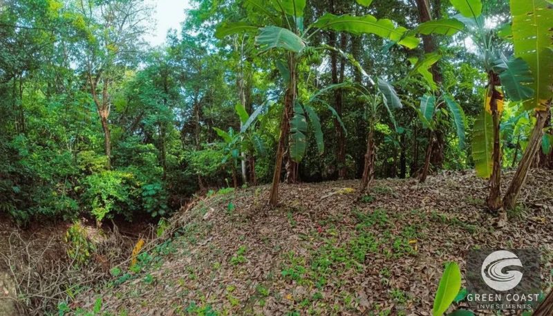 Affordable 900m² Jungle Lot in Pavones | Build Your Tropical Retreat — view 6, Pavones, Golfito, Costa Rica