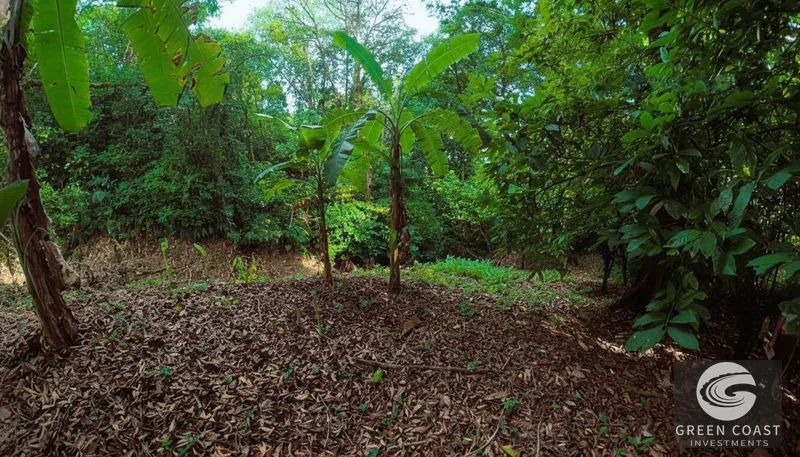 Affordable 900m² Jungle Lot in Pavones | Build Your Tropical Retreat — view 7, Pavones, Golfito, Costa Rica