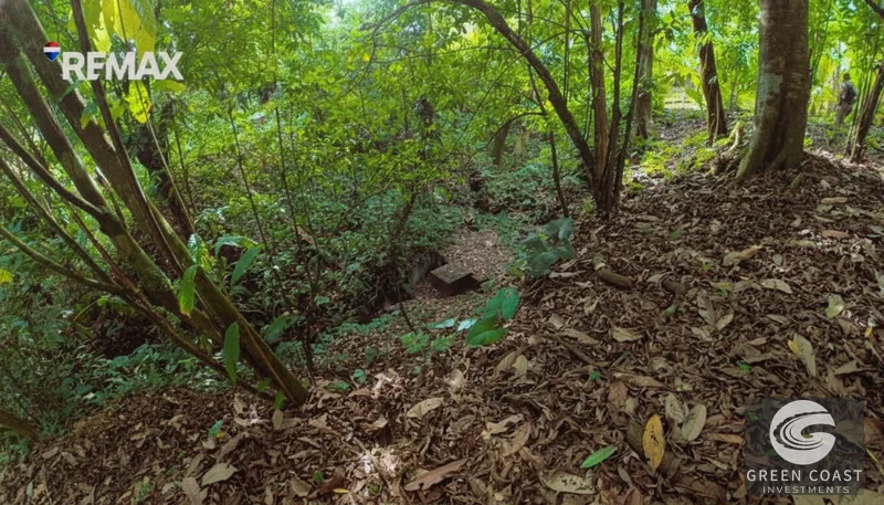 Affordable 900m² Jungle Lot in Pavones | Build Your Tropical Retreat — view 8, Pavones, Golfito, Costa Rica