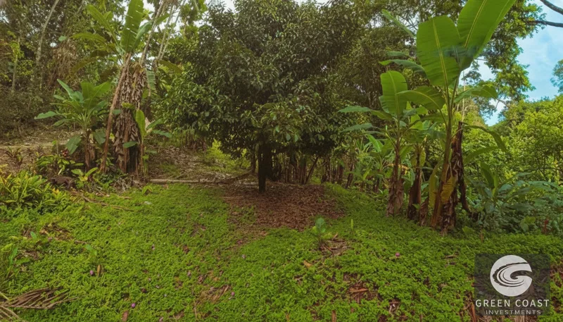 Affordable 900m² Jungle Lot in Pavones | Build Your Tropical Retreat — view 9, Pavones, Golfito, Costa Rica